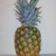 Stupid Pineapple