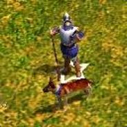 sir_ij
