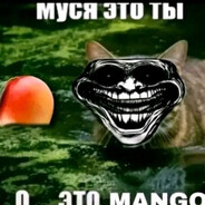 крутое яйцо