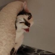 sequ