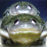 Big Gay Bullfrog