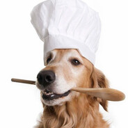Dogpa