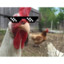 Esoteric_Chicken