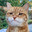Group Avatar