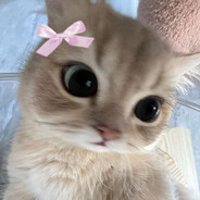 zawzy