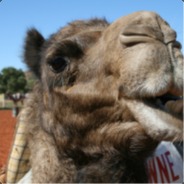 CamelCorb