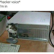 hxcjedders