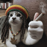 rastacat avatar