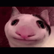 Slovak_ 69PEEK_ Beluga