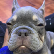 Avatar de Aguacate2005