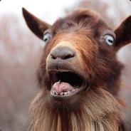 Scared Goat's Avatar