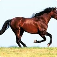 HorseKebab