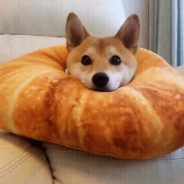 Croissants's Avatar