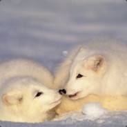 FrostedFoxes