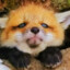 sayu.nick