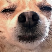 xxrtwf