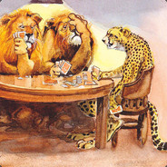 CheetahsNeverWin's Avatar