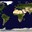 Group Avatar
