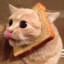 bread_cat