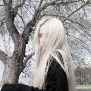 tvoy lubimiy dmitreev