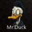 Mr. Duck.