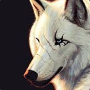 Wolfe.K