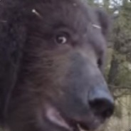 Detective SnuggleBottoms