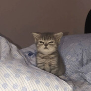 zzzzzzzzzz