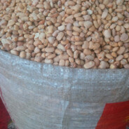 20 oz bag of beans