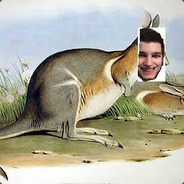 Bergferkelrickard's Avatar