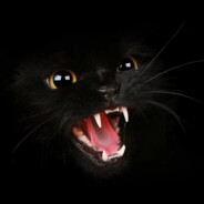 黑猫's avatar