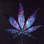 Lucid•Haze