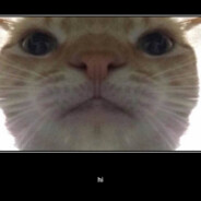 Casper