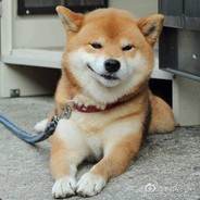 团子_