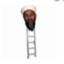 osama bin ladder