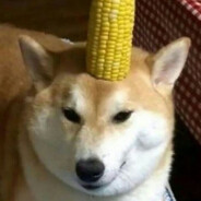 Mr. Corn Doge