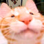 EL_GATITO Banditcamp.com