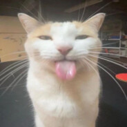 funny little guy