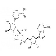 Nicotinamideadenine-dinucleotide