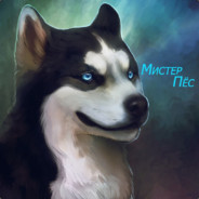 Мистер Пёс