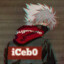 iCebo