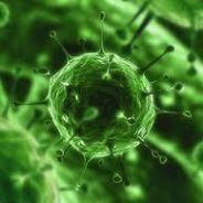 Zaluvirus - steam id 76561197961405882