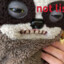 JuliusPontus