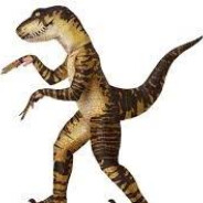 RaptoR