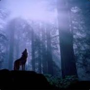 ProspekTelos64