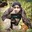 Group Avatar