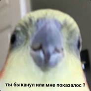 Kirill_soset_y_enota