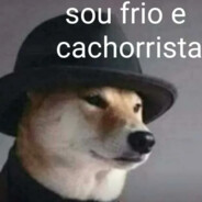 Frio e Cachorrista