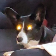Xenochrist
