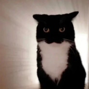 cat pyro